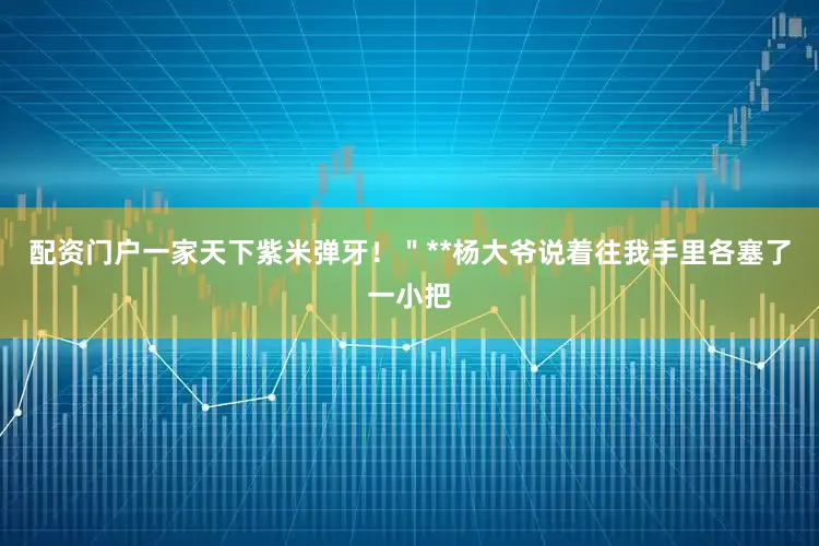 配资门户一家天下紫米弹牙！＂**杨大爷说着往我手里各塞了一小把