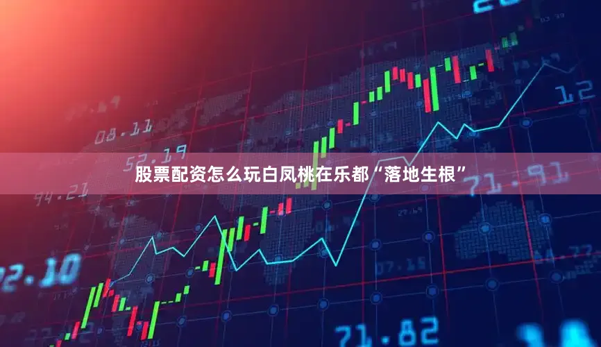 股票配资怎么玩白凤桃在乐都“落地生根”