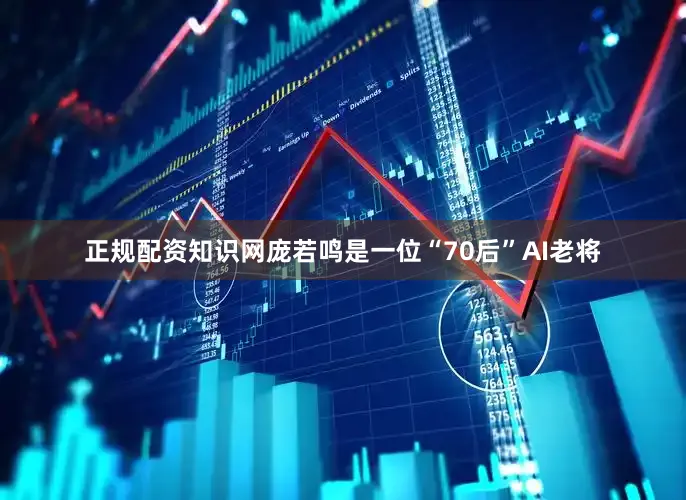 正规配资知识网庞若鸣是一位“70后”AI老将