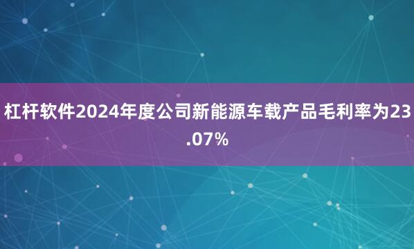 杠杆软件2024年度公司新能源车载产品毛利率为23.07%