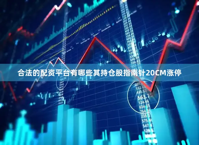 合法的配资平台有哪些其持仓股指南针20CM涨停